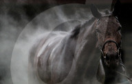 FEATURE - Pix of te Day: Die Bilder des Tages