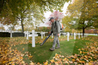 FEATURE - Pix of te Day: Die Bilder des Tages