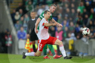 PEOPLE - Fussball: Nordirland - Schweiz in Belfast