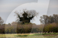 FEATURE - Pix of the Day - Bilder des Tages