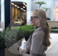 EXKLUSIV - Paris Hilton mit Chris und ihrem Hündli auf Shoppingtour