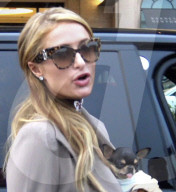 EXKLUSIV - Paris Hilton mit Chris und ihrem Hündli auf Shoppingtour