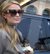 EXKLUSIV - Paris Hilton mit Chris und ihrem Hündli auf Shoppingtour