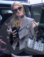 EXKLUSIV - Paris Hilton mit Chris und ihrem Hündli auf Shoppingtour