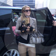 EXKLUSIV - Paris Hilton mit Chris und ihrem Hündli auf Shoppingtour