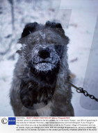 REPORTAGE - Yakutsk, die kälteste Stadt der Welt