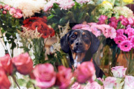 FEATURE - Pix of the Day: Die Bilder des Tages