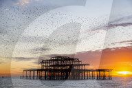 FEATURE - Pix of the Day: Die Bilder des Tages