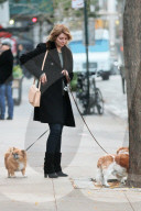 PEOPLE - Mischa Barton führt ihre Hunde Gassi in Manhattan