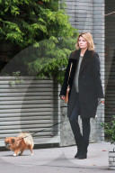 PEOPLE - Mischa Barton führt ihre Hunde Gassi in Manhattan