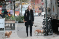 PEOPLE - Mischa Barton führt ihre Hunde Gassi in Manhattan