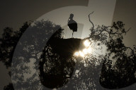 FEATURE - Best of - Bilder des Tages