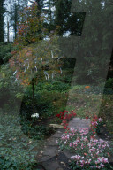 PEOPLE - Gunter Gabriel's Gedenkstein auf dem Waldfriedhof in Berlin