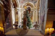 FEATURE - Es weihnachtet schon sehr...