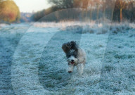 FEATURE - Bilder des Tages