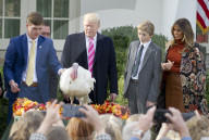NEWS - Washington: Trump begnadigt traditionell einen Truthahn zu Thanksgiving