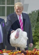 NEWS - Washington: Trump begnadigt traditionell einen Truthahn zu Thanksgiving