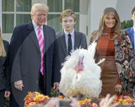 NEWS - Washington: Trump begnadigt traditionell einen Truthahn zu Thanksgiving