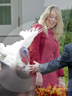 NEWS - Washington: Trump begnadigt traditionell einen Truthahn zu Thanksgiving