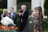 NEWS - Washington: Trump begnadigt traditionell einen Truthahn zu Thanksgiving