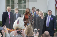 NEWS - Washington: Trump begnadigt traditionell einen Truthahn zu Thanksgiving