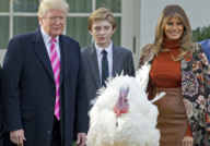 US President Trump and First Lady Melania Trump Participate in the 2017 Thanksgiving Turkey Pardon Ceremony