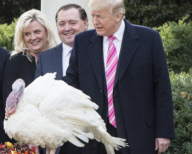 President Trump continues the WH tradition of pardoning turkeys before Thanksgiving