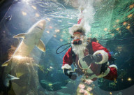 FEATURE - Santa Claus geht auf Tauchstation