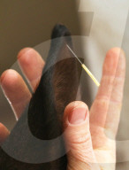 FEATURE - Heilpraktiken für Gross- und Kleintiere