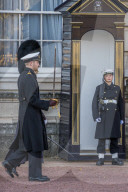 NEWS - Buckingham Palast wird erstmals von Matrosen bewacht