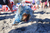 FEATURE - Pix of the Day: Die Bilder des Tages