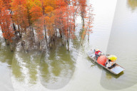 FEATURE - Pix of the Day: Die Bilder des Tages