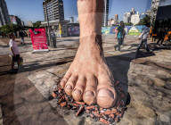 FEATURE - Best of - Bilder des Tages