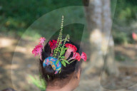 FEATURE - Best of - Bilder des Tages