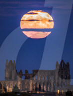 FEATURE - Ein Supermond erhellte letzte Nacht den Himmel