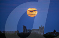FEATURE - Ein Supermond erhellte letzte Nacht den Himmel