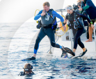 PEOPLE - Maxima und Willem-Alexander auf Karibik-Besuch