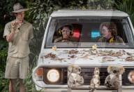 PEOPLE - Gruselig: Karaoke im Insektenverseuchten Auto im Dschungelcamp