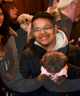 FEATURE - New York: Blessing of the animals - Tiere in der Kirche 