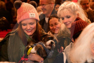 FEATURE - New York: Blessing of the animals - Tiere in der Kirche 