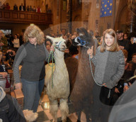 FEATURE - New York: Blessing of the animals - Tiere in der Kirche 