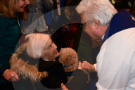 FEATURE - New York: Blessing of the animals - Tiere in der Kirche 