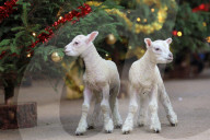 FEATURE - Best of - Bilder des Tages