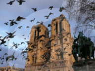 FEATURE - Notre Dame in Paris