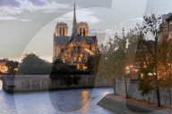 FEATURE - Notre Dame in Paris