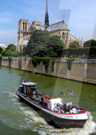 FEATURE - Notre Dame in Paris