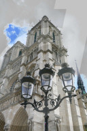 FEATURE - Notre Dame in Paris