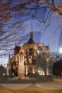 FEATURE - Notre Dame in Paris