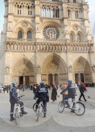 FEATURE - Notre Dame in Paris