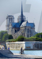 FEATURE - Notre Dame in Paris